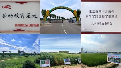 中國農大涿州農業科技園區入選全國科普教育基地，助力農業科學新發展